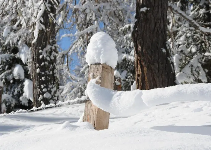דירה Mecki's Dolomiten Panorama Stubn *